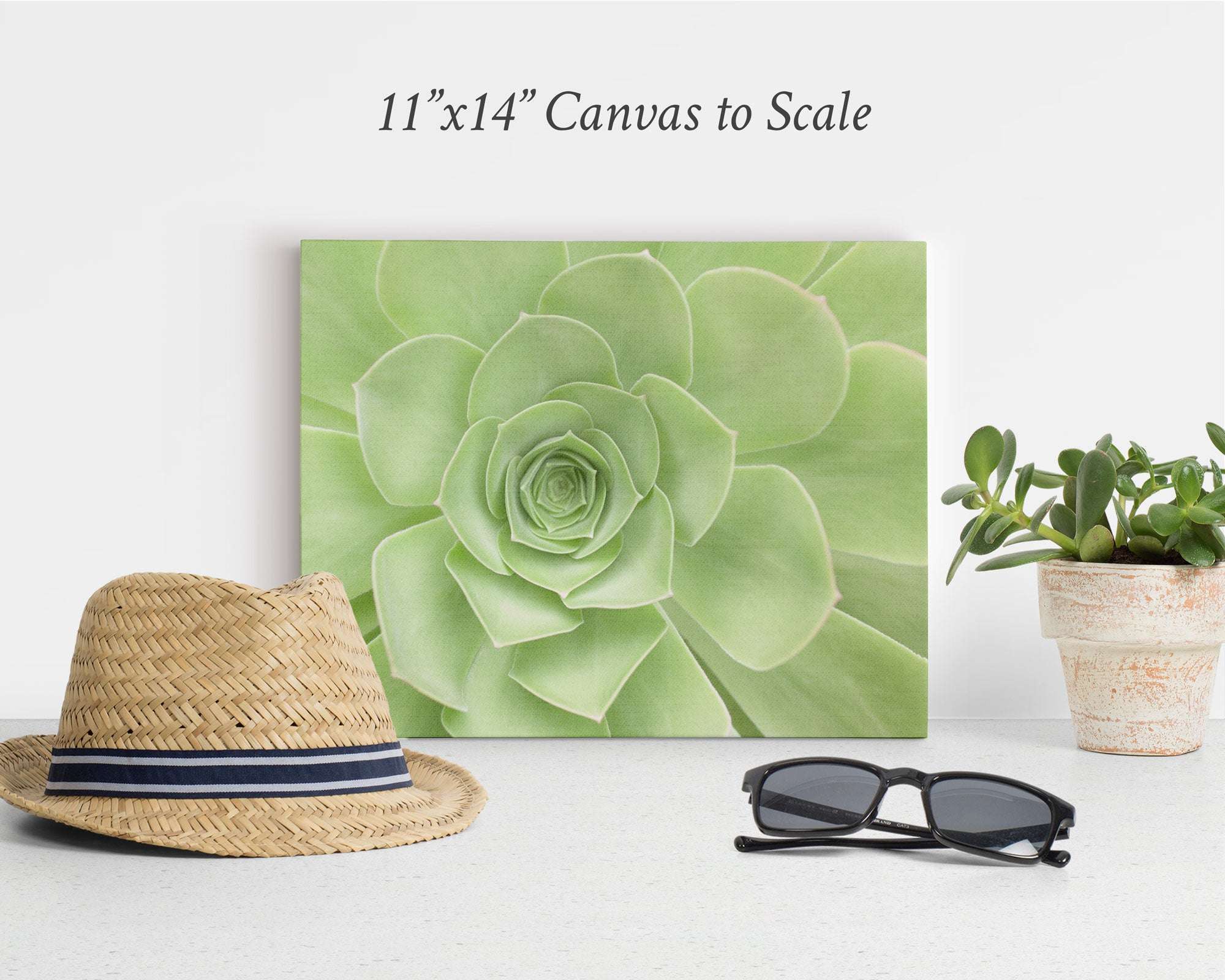 11x14 Botanical Canvas Print (Choose from 10+ Designs)