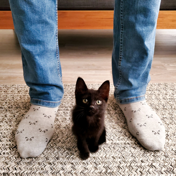 Socks that Save Cats