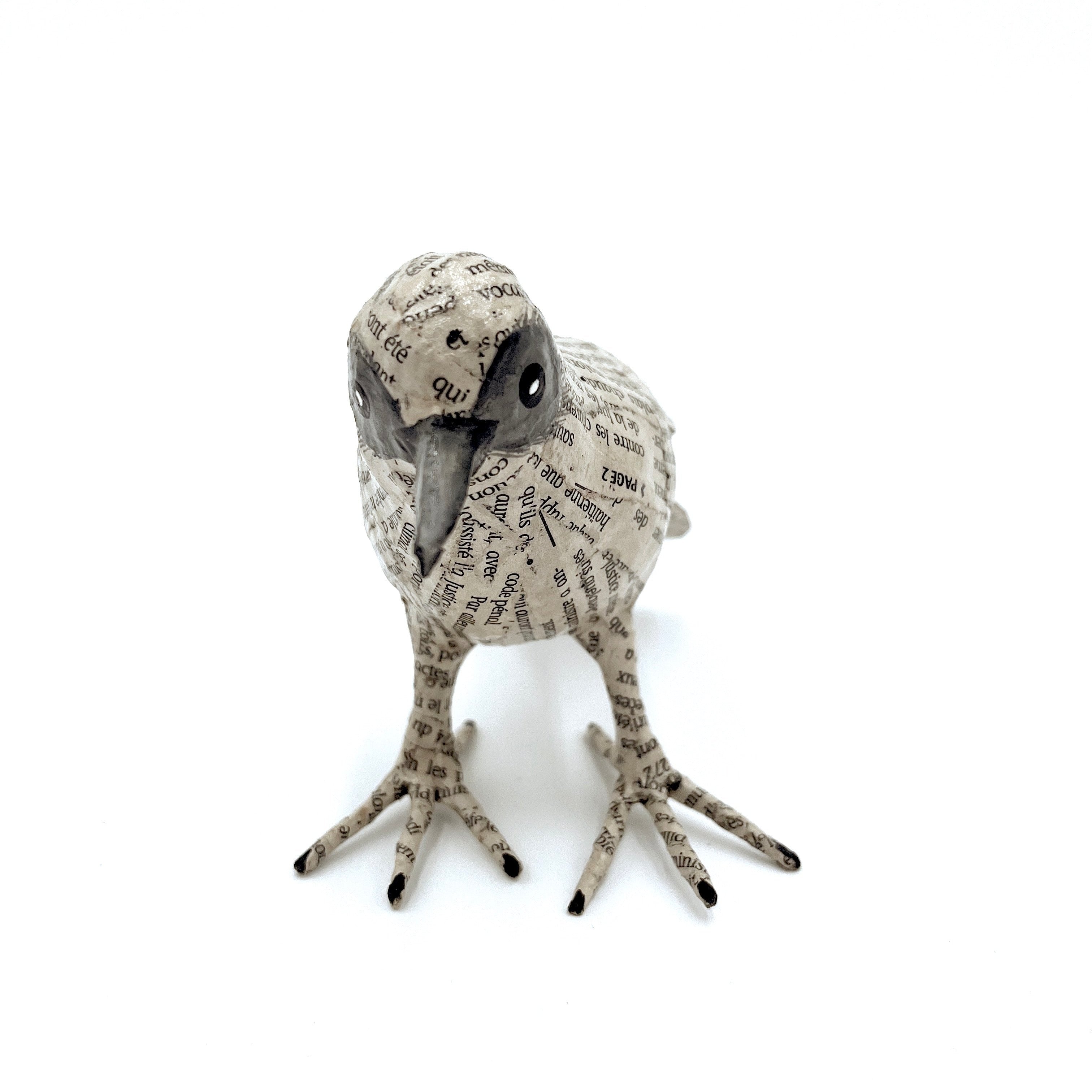 Jounal Paper Mache Birds (Set of 2)