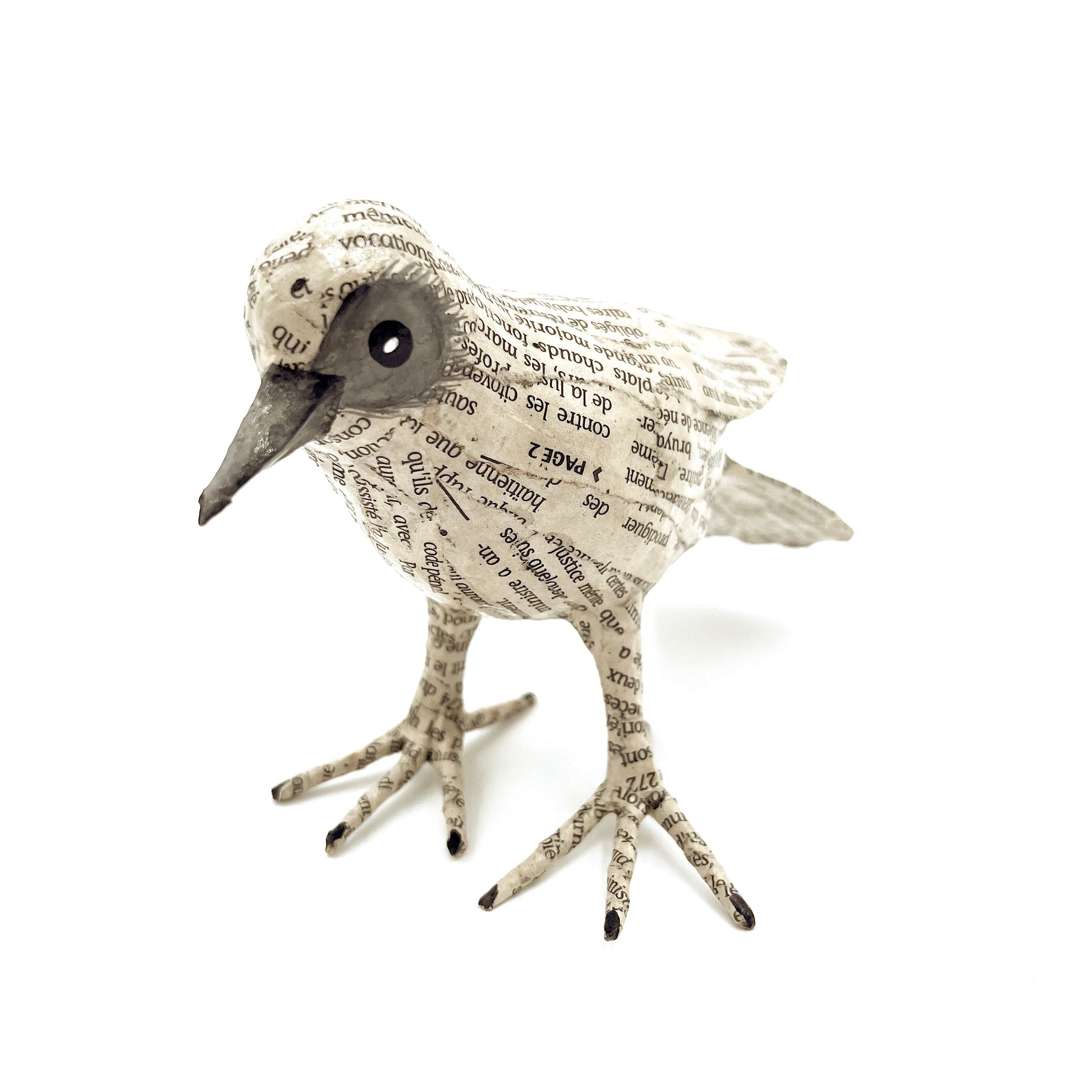 Jounal Paper Mache Birds (Set of 2)