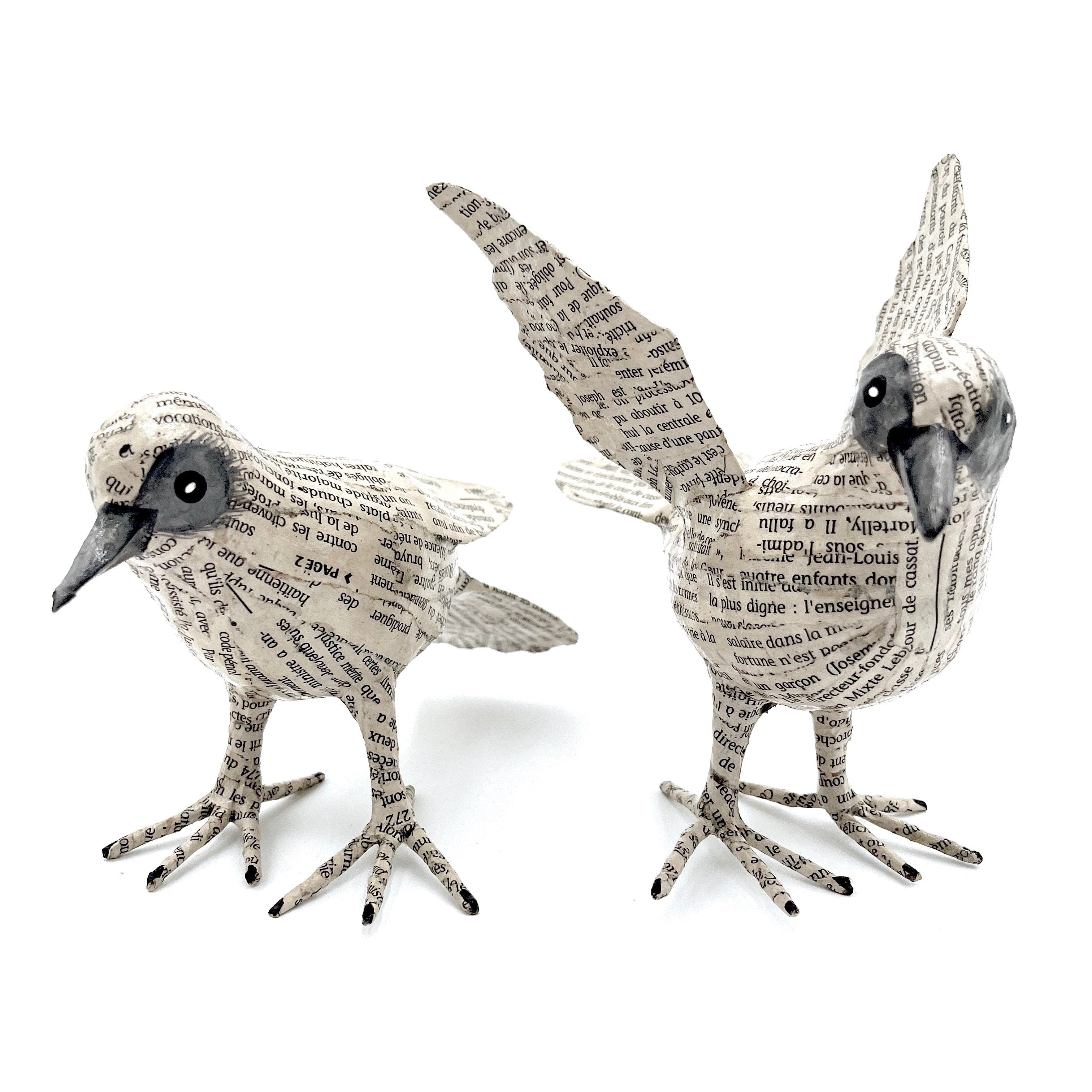 Jounal Paper Mache Birds (Set of 2)