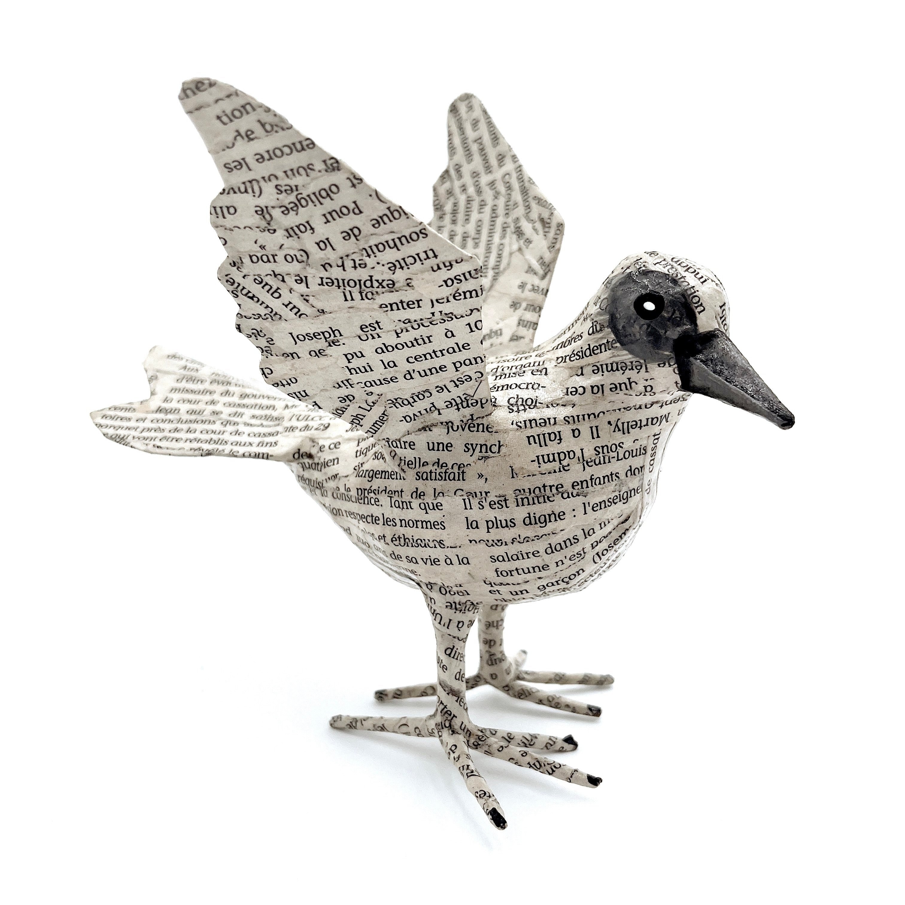 Jounal Paper Mache Birds (Set of 2)