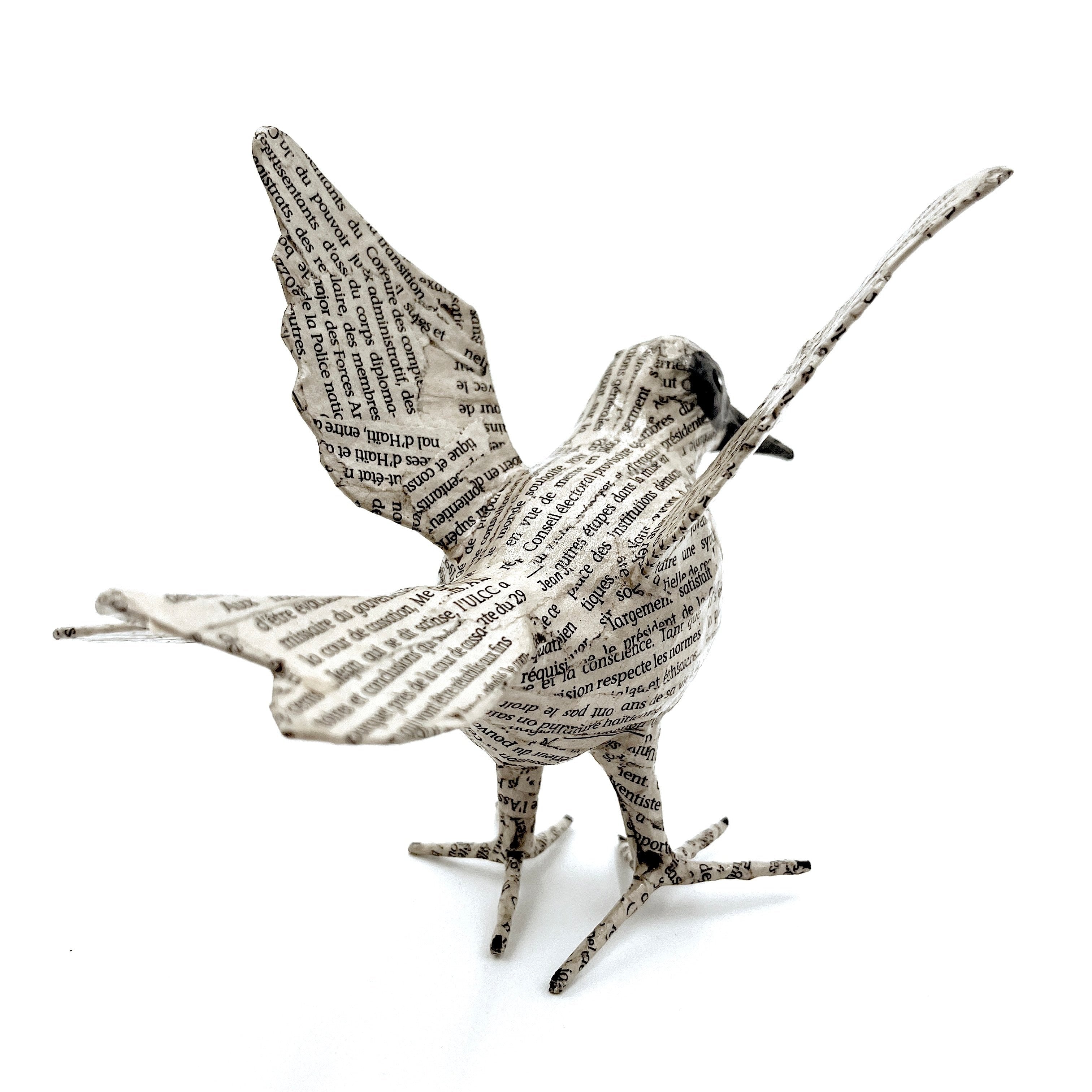 Jounal Paper Mache Birds (Set of 2)