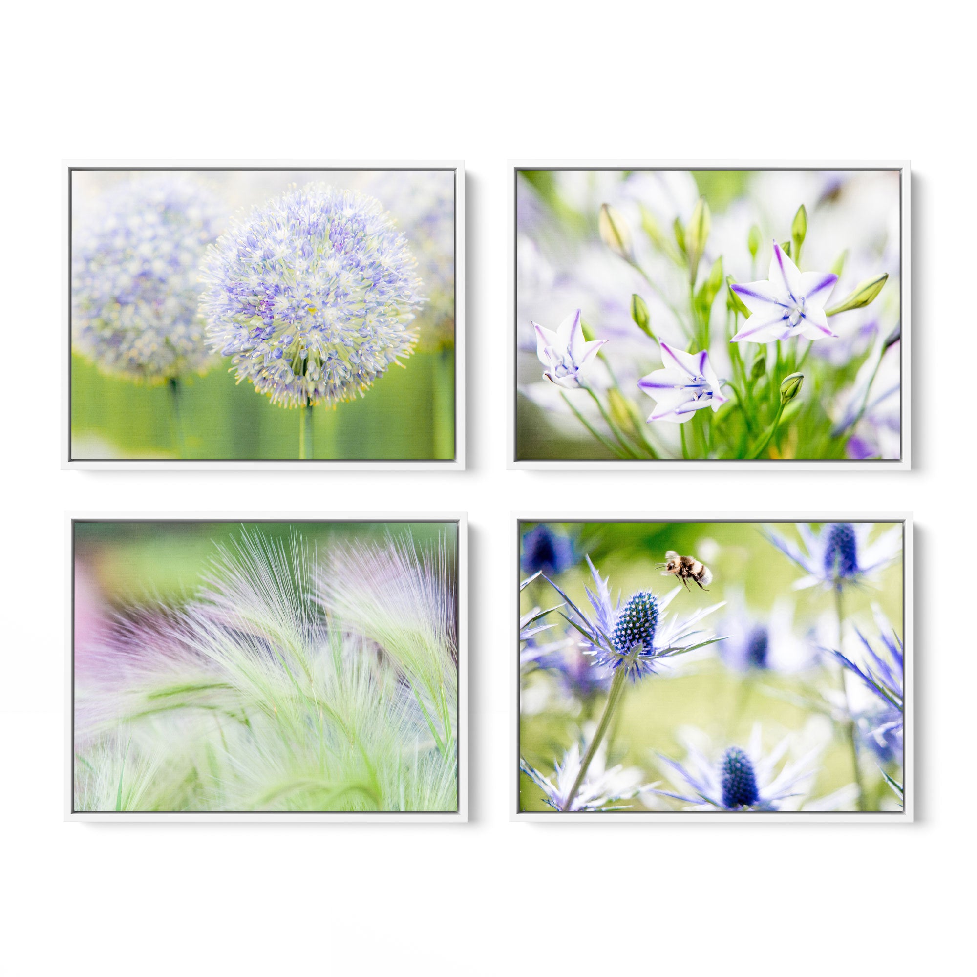 Set of 4 Framed Canvas 24x30 (Choose from multiple combinations)