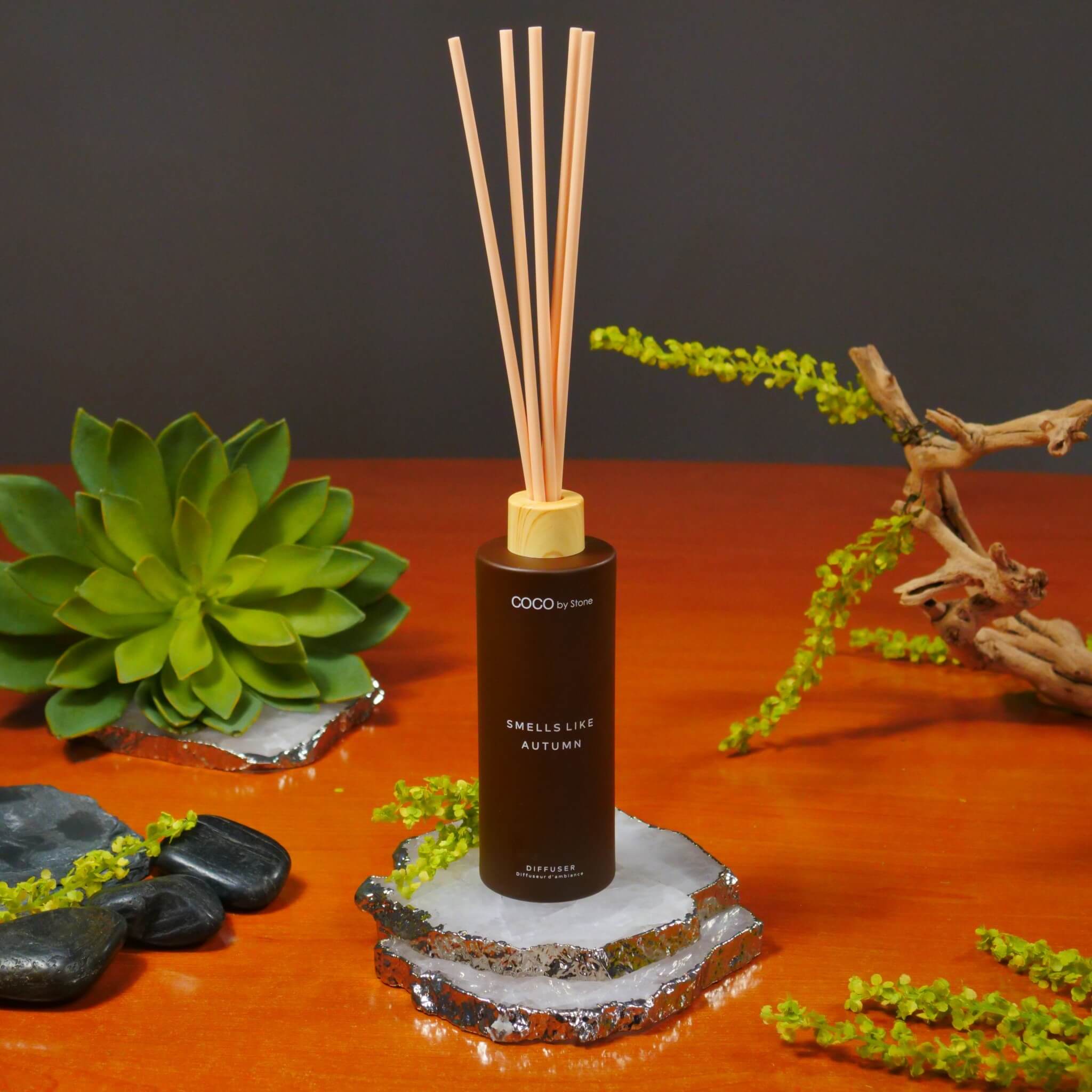 The Seasonal Reed Diffuser in 5oz (Select from 3 Scents)