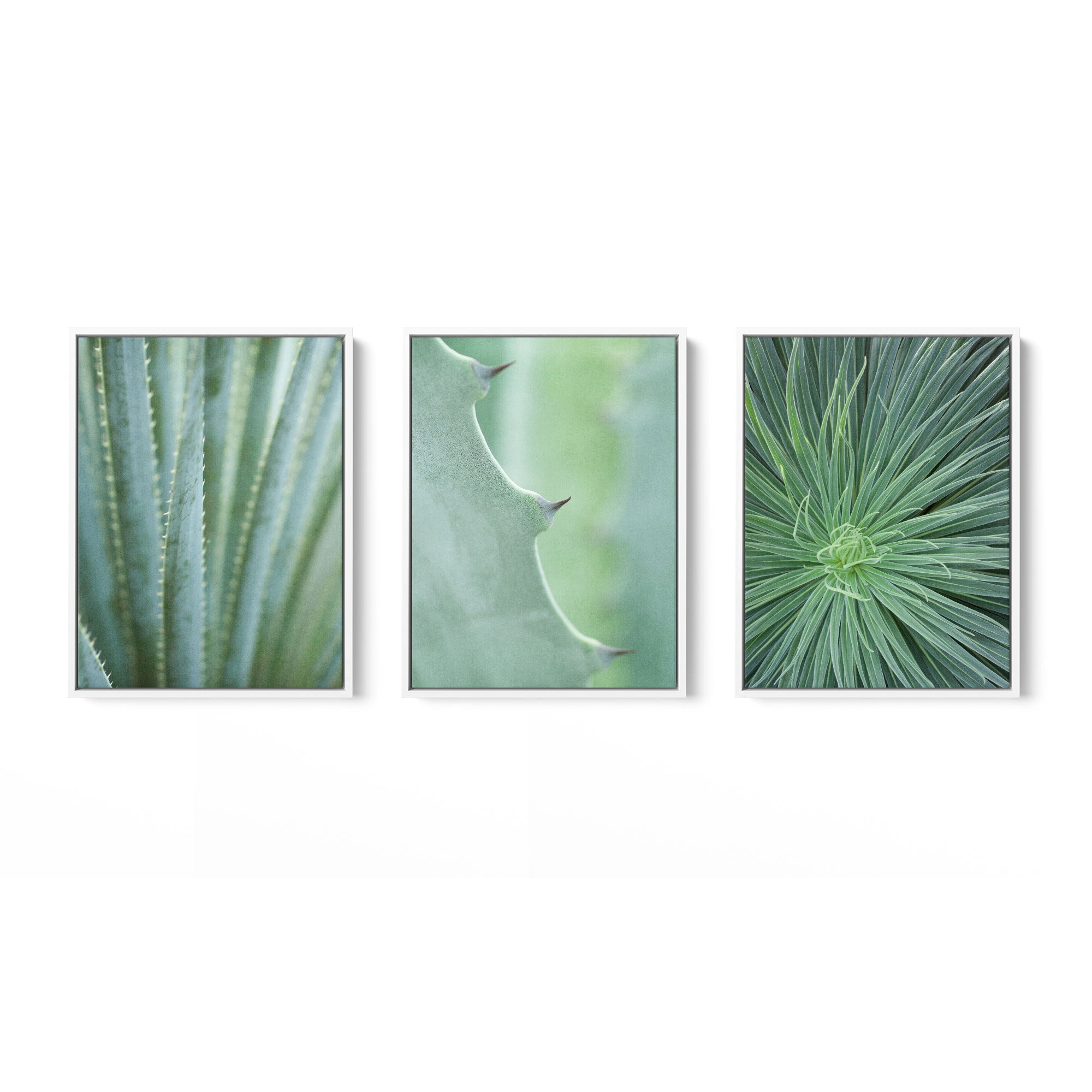 Set of 3 Framed Canvas 24x30 Inches (Multiple Print Choices)