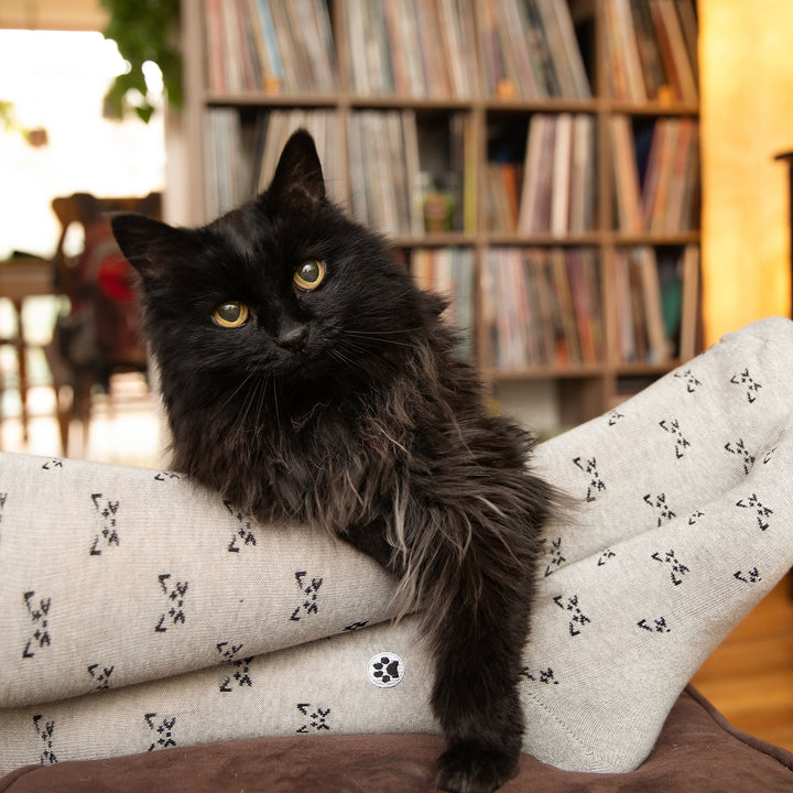 Socks that Save Cats