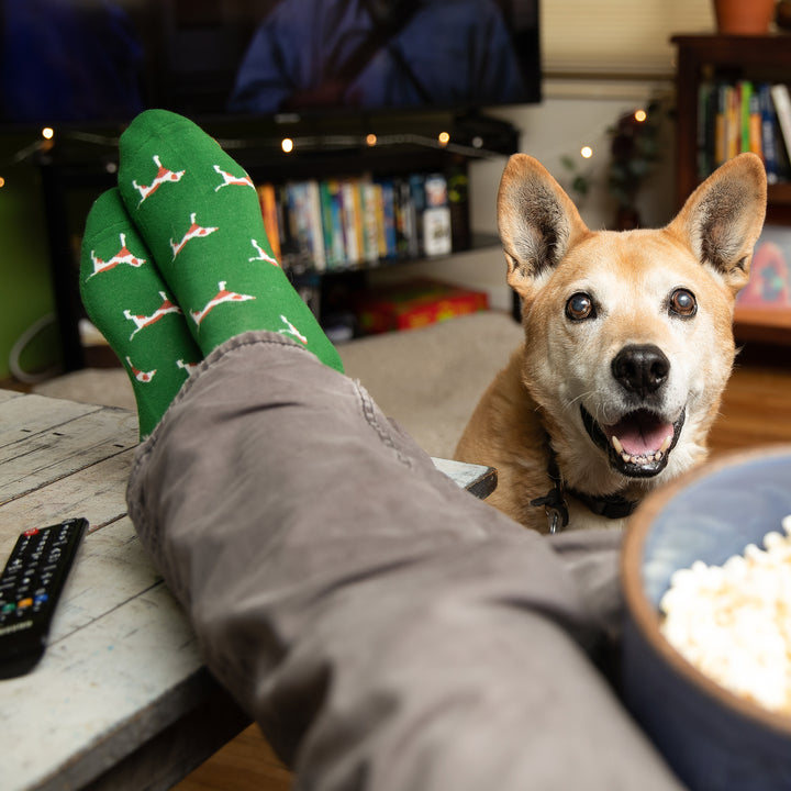 Socks that Protect Dogs