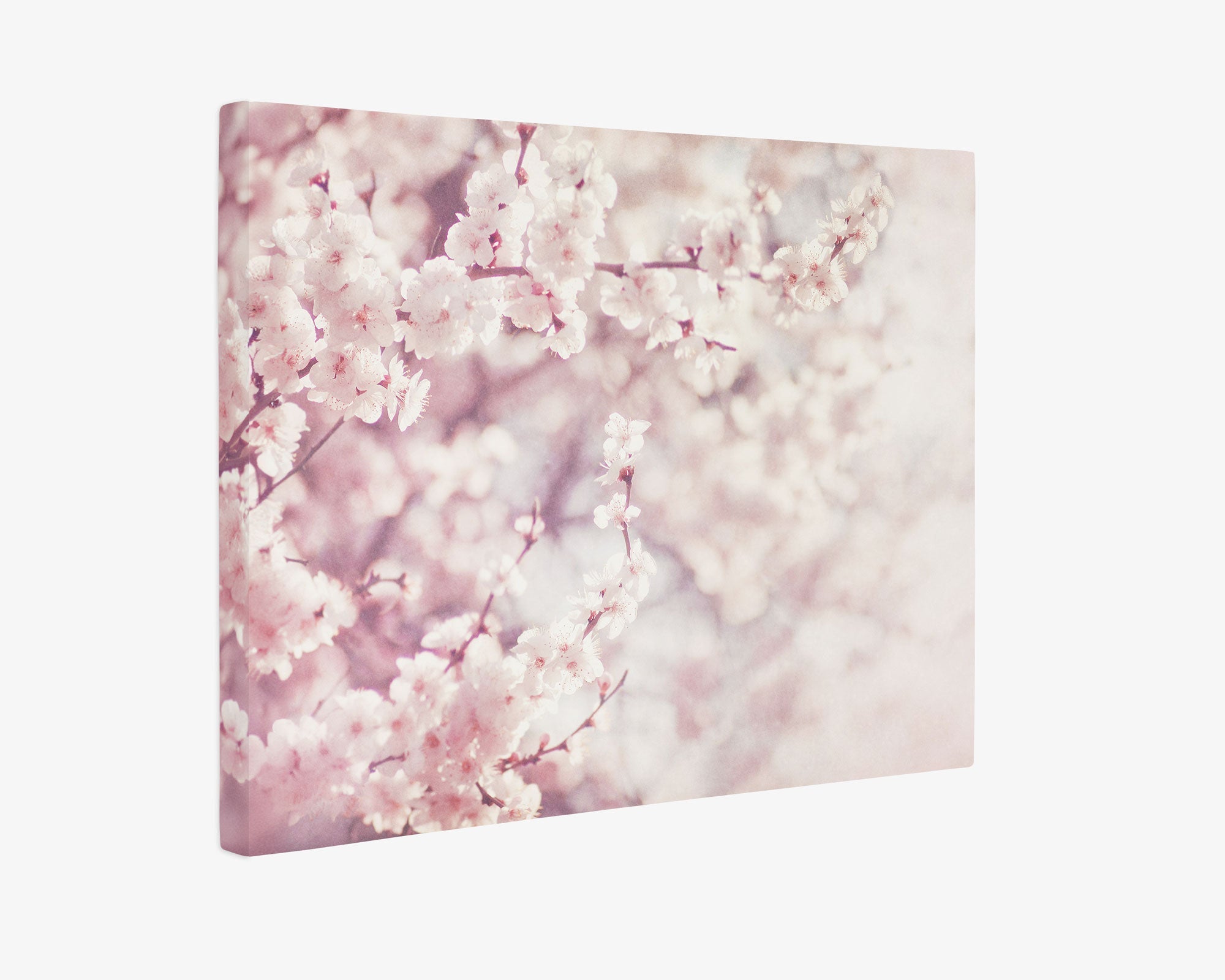 24x30 Botanical Canvas Print (Choose from 10+ Designs)