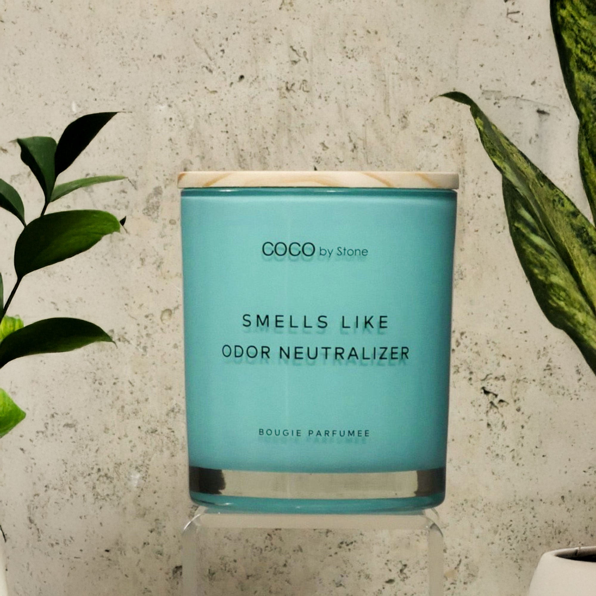 11oz Smells Like Odor Neutralizer Candle