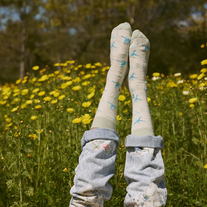 Socks that Protect Hummingbirds