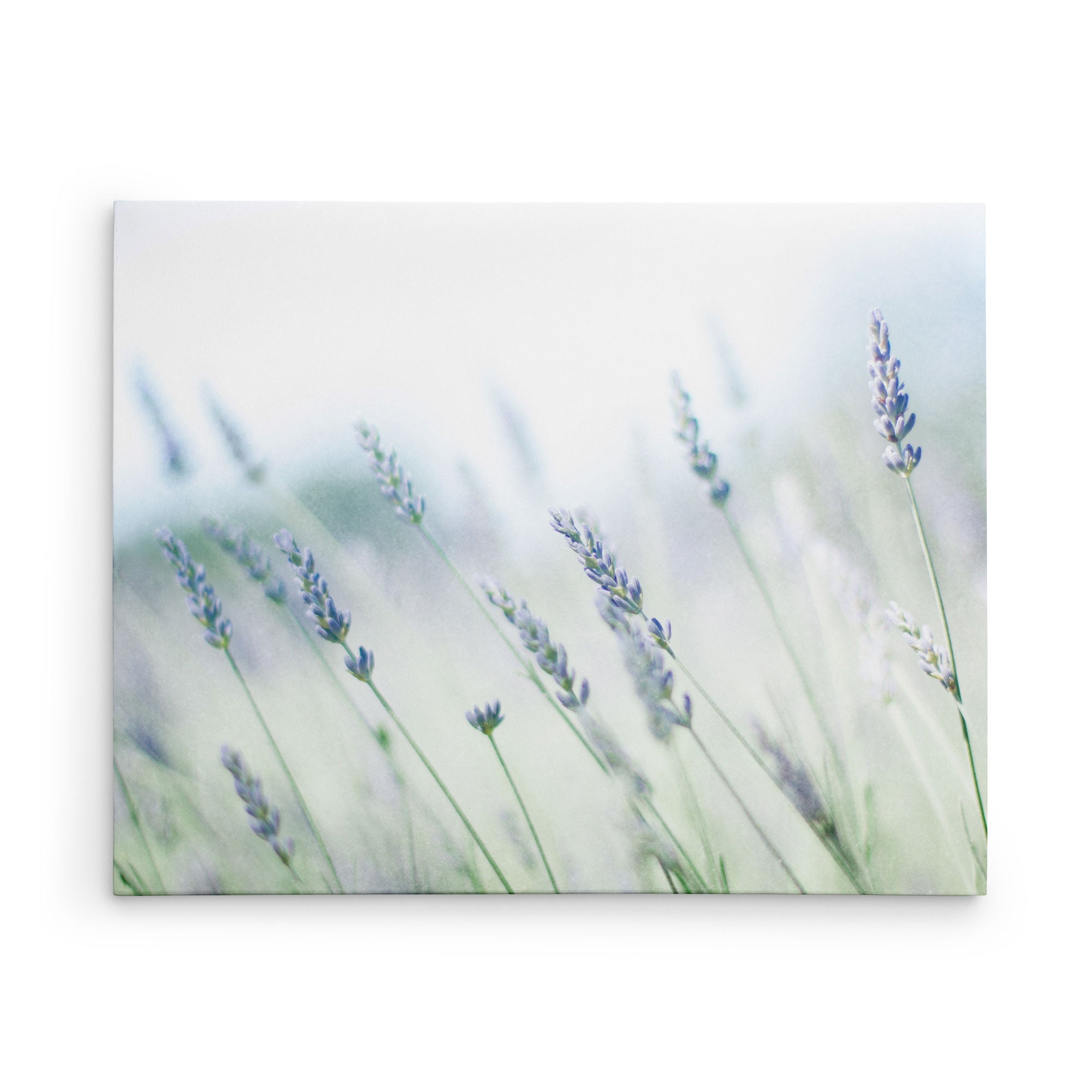 11x14 Botanical Canvas Print (Choose from 10+ Designs)