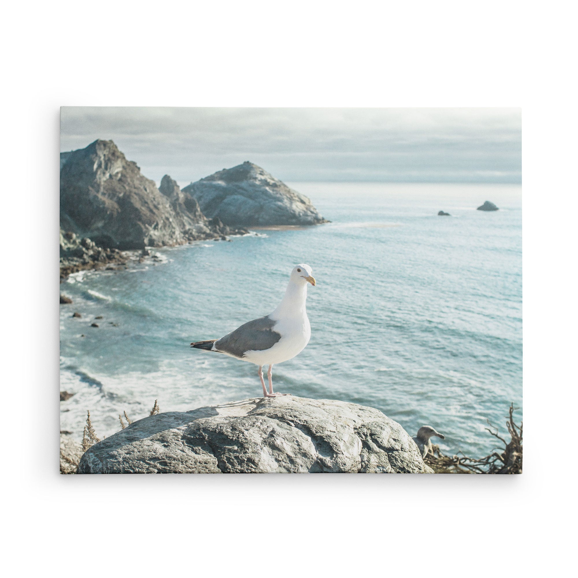 16x20 Coastal Canvas Print (Choose from 10+ Designs)