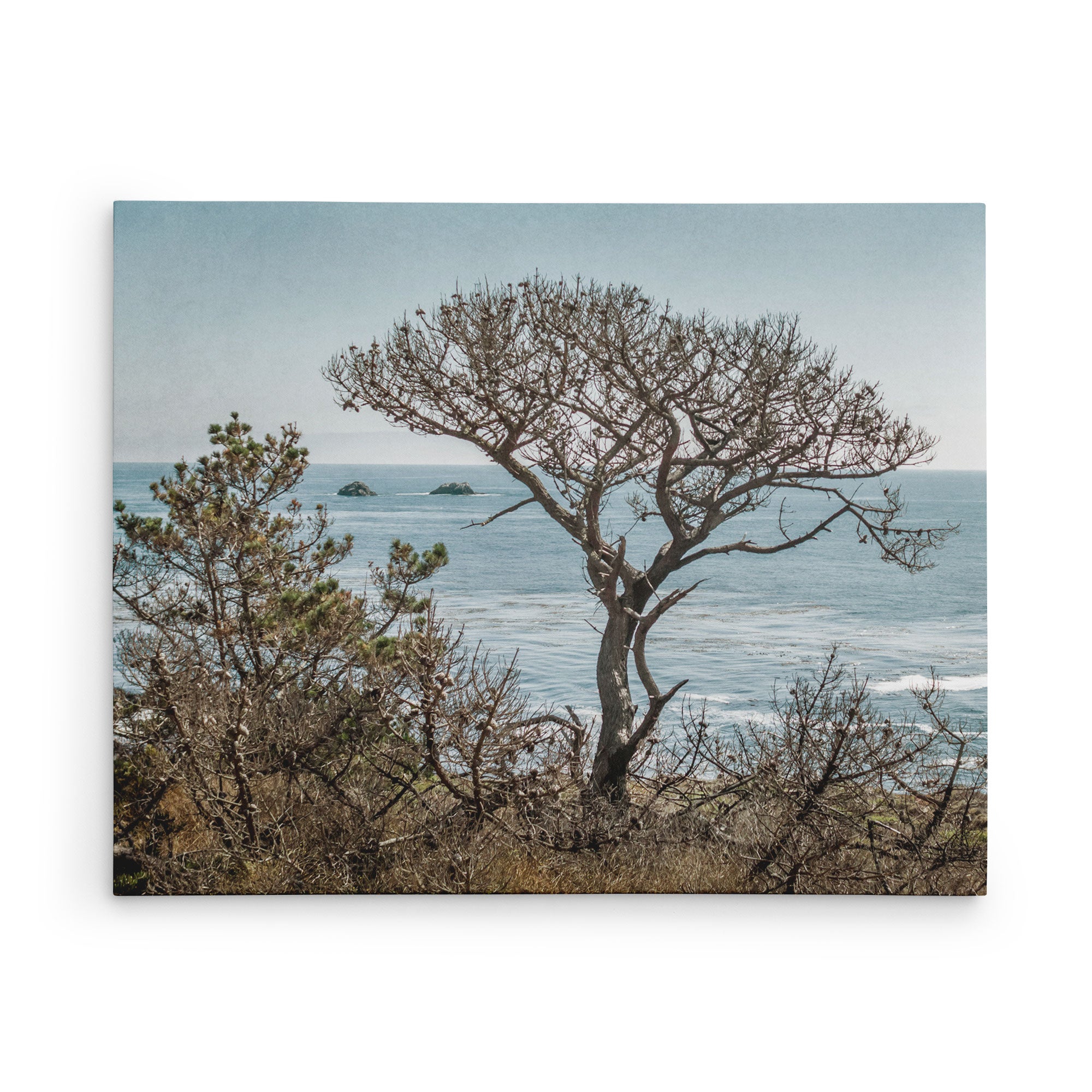 24x30 Coastal Canvas Print (Choose from 10+ Designs)