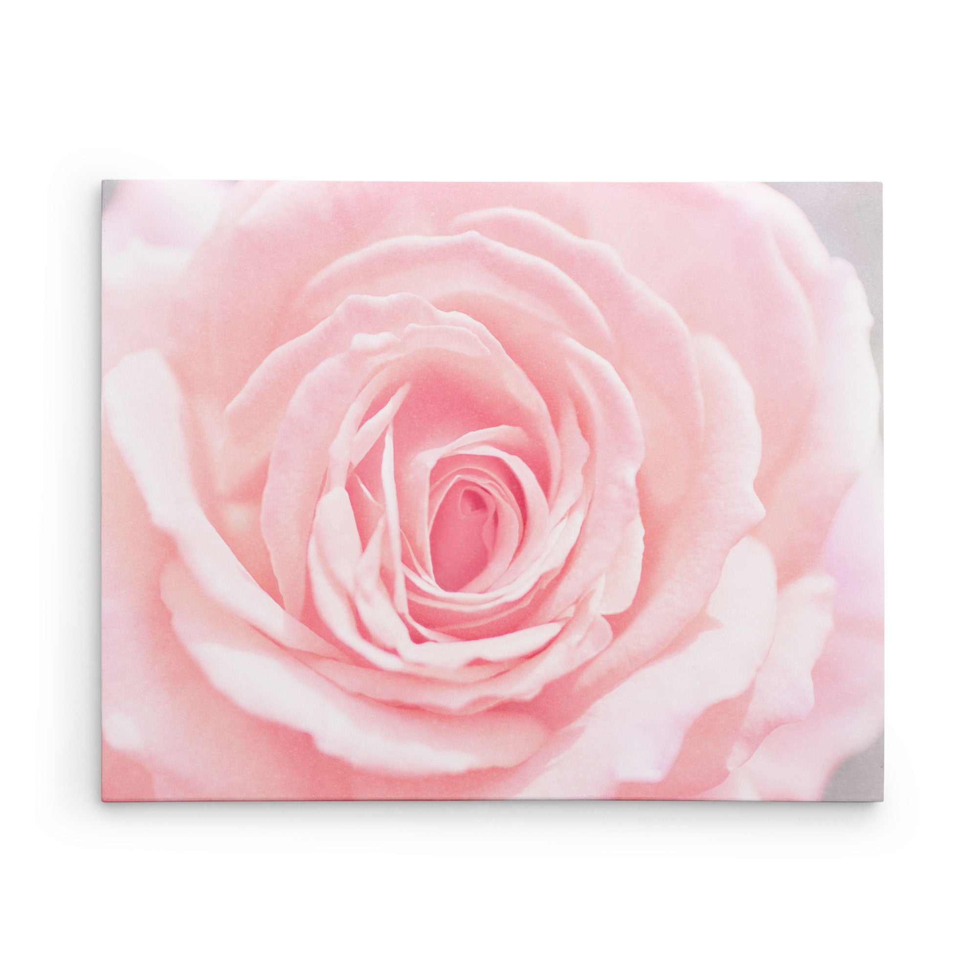 30X40 Botanical Canvas Print (Choose from 10+ Designs)