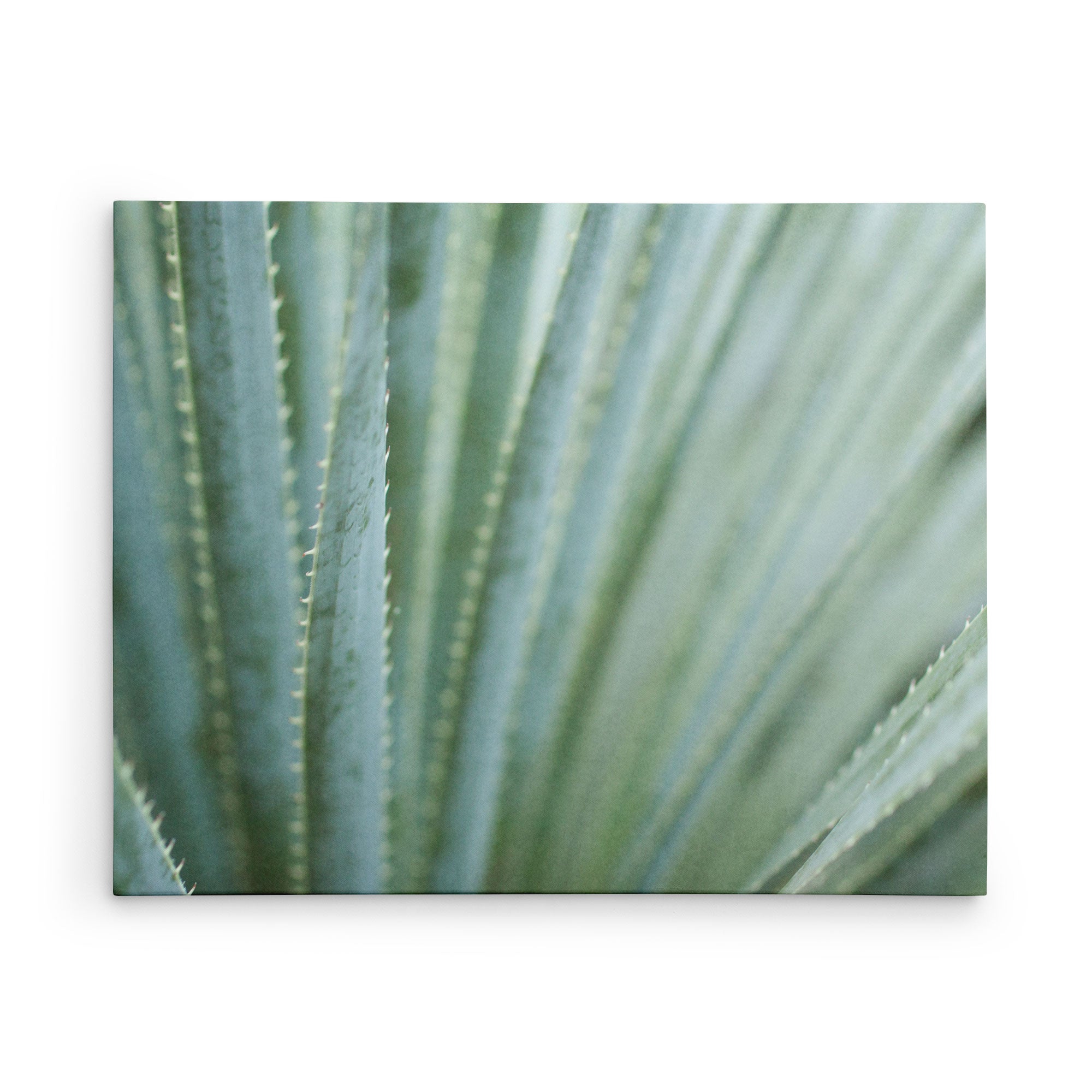 30X40 Botanical Canvas Print (Choose from 10+ Designs)