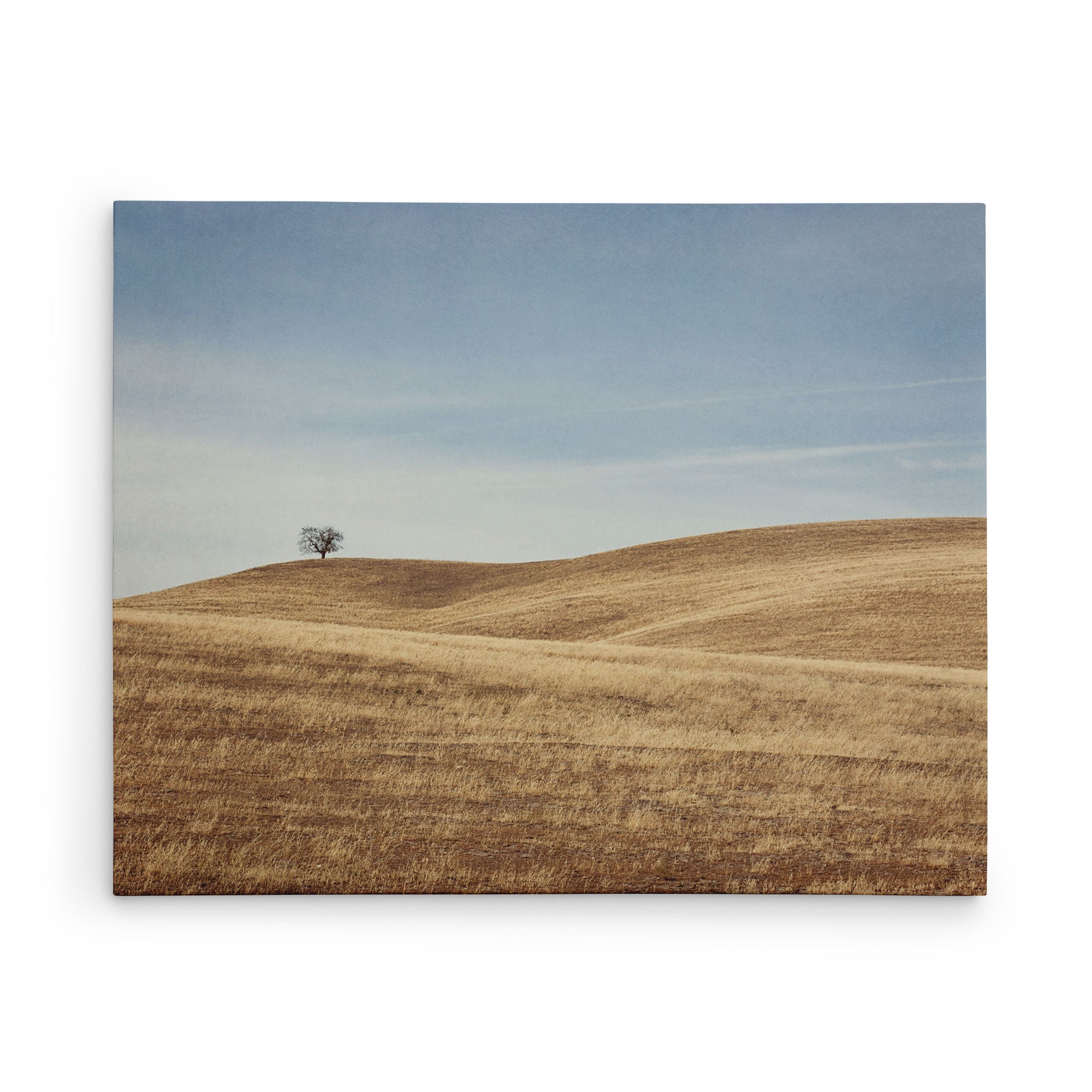 24x30 Rustic Canvas Print (Choose from 10+ Designs)