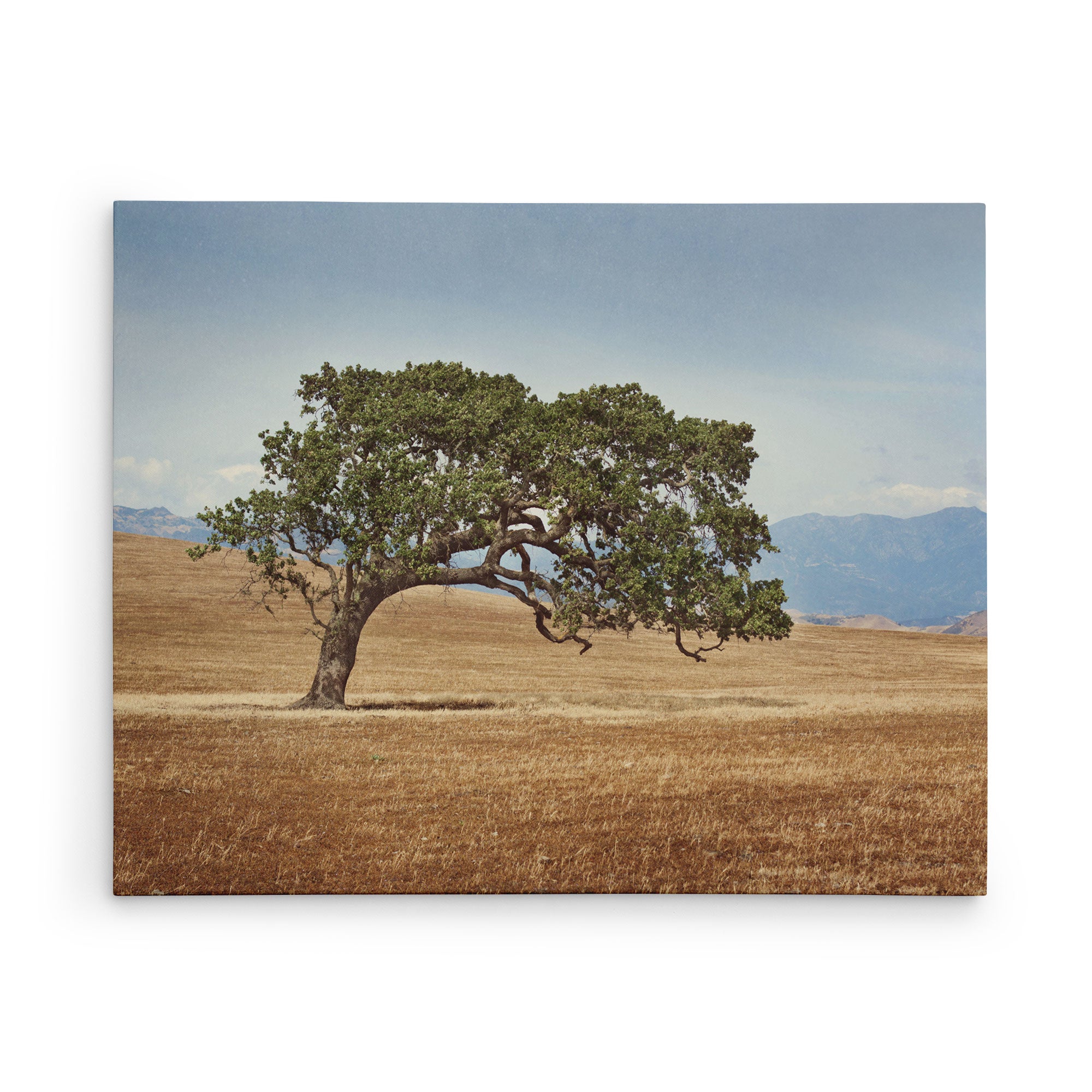 30x40 Rustic Canvas Print (Choose from 10+ Designs)