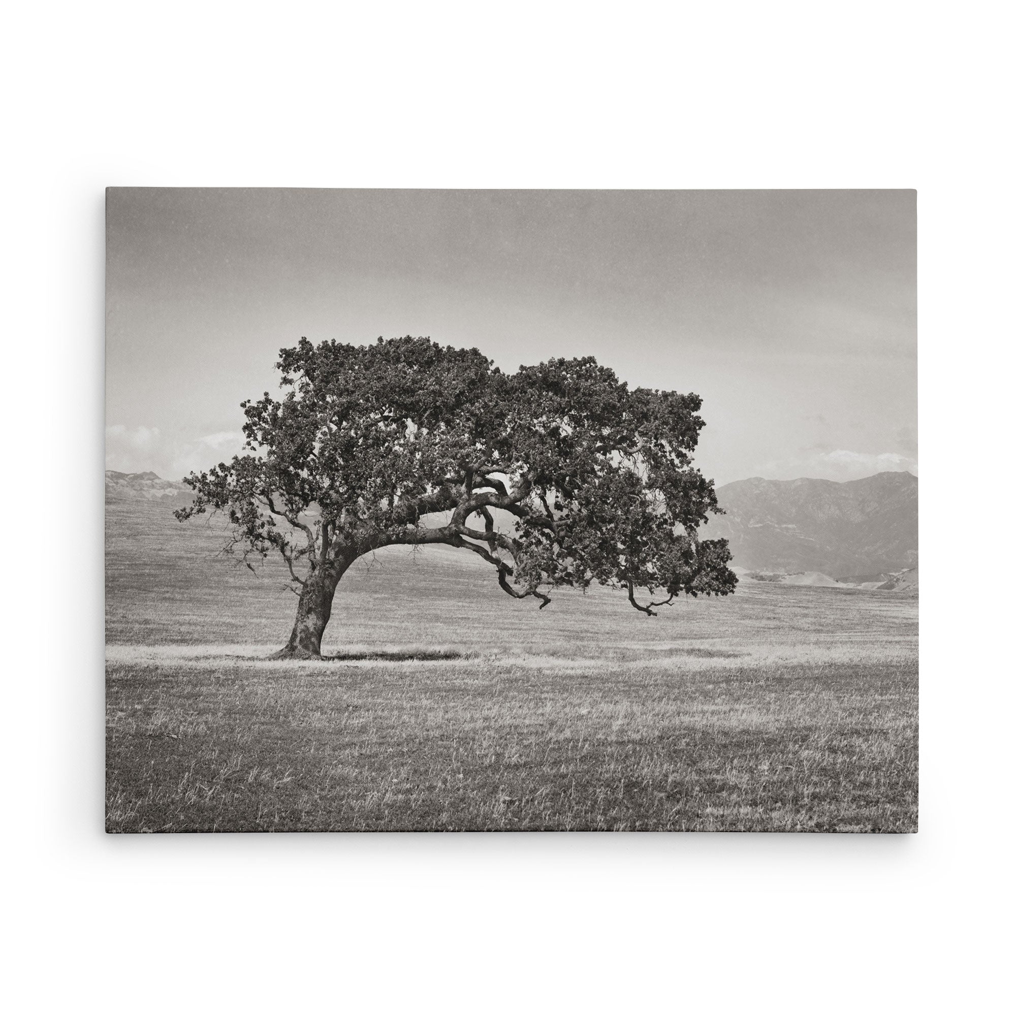 30x40 Rustic Canvas Print (Choose from 10+ Designs)