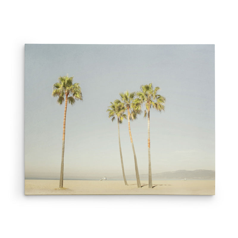 Canvas Print titled 'Boardwalk Palms'
