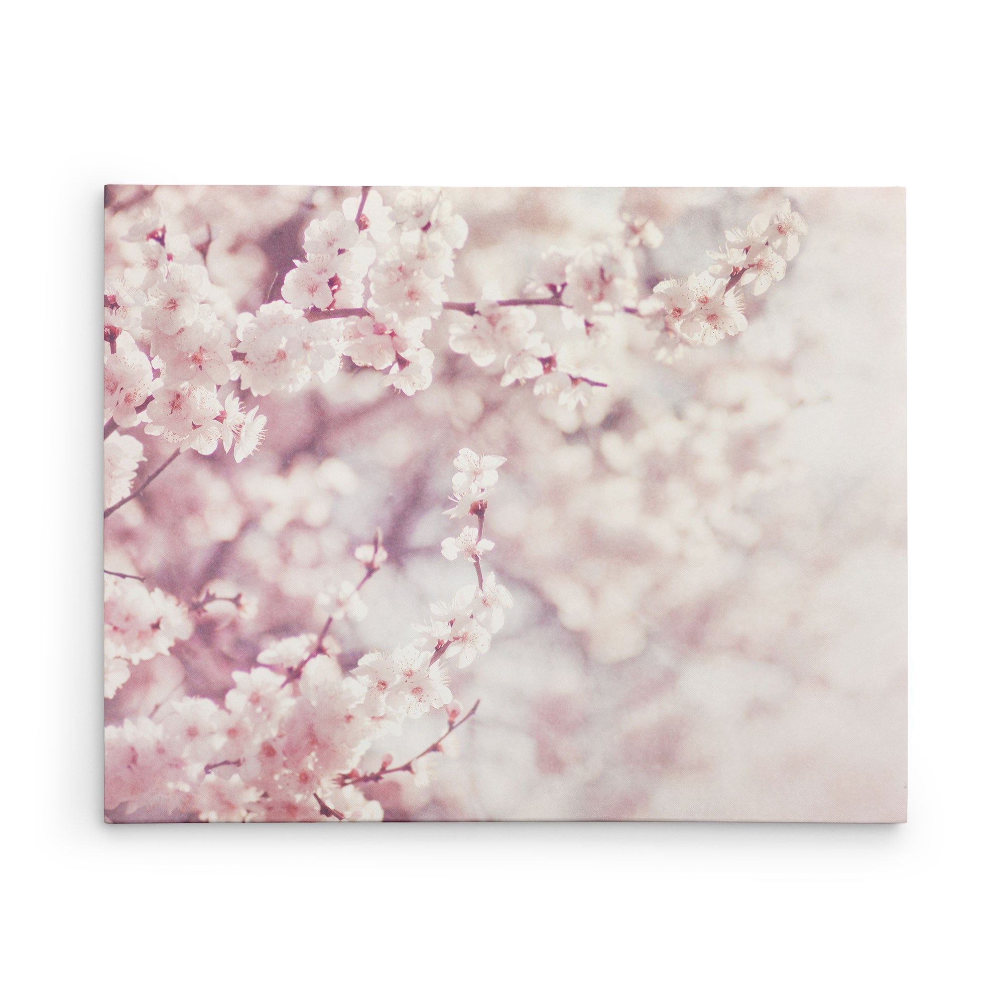 16X20 Botanical Canvas Print (Choose from 10+ Designs)