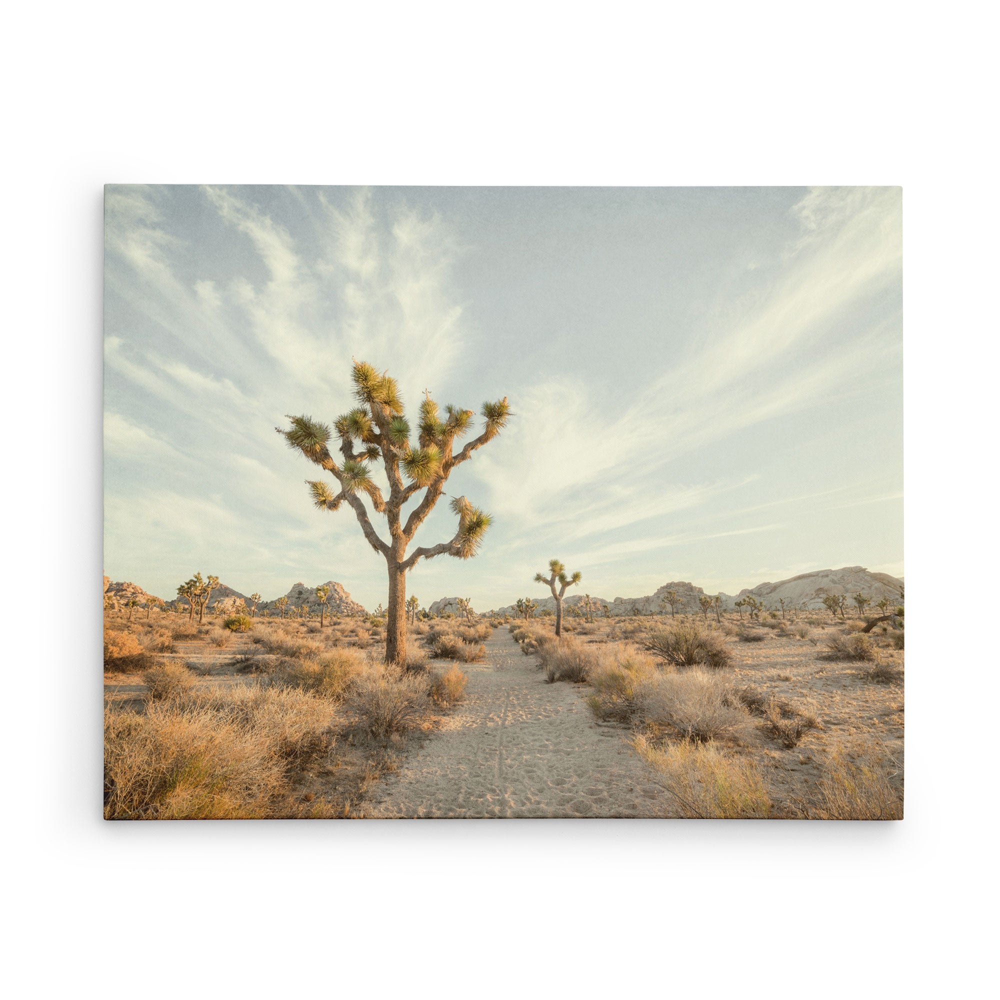 Canvas wall art titled 'Path to Joshua'