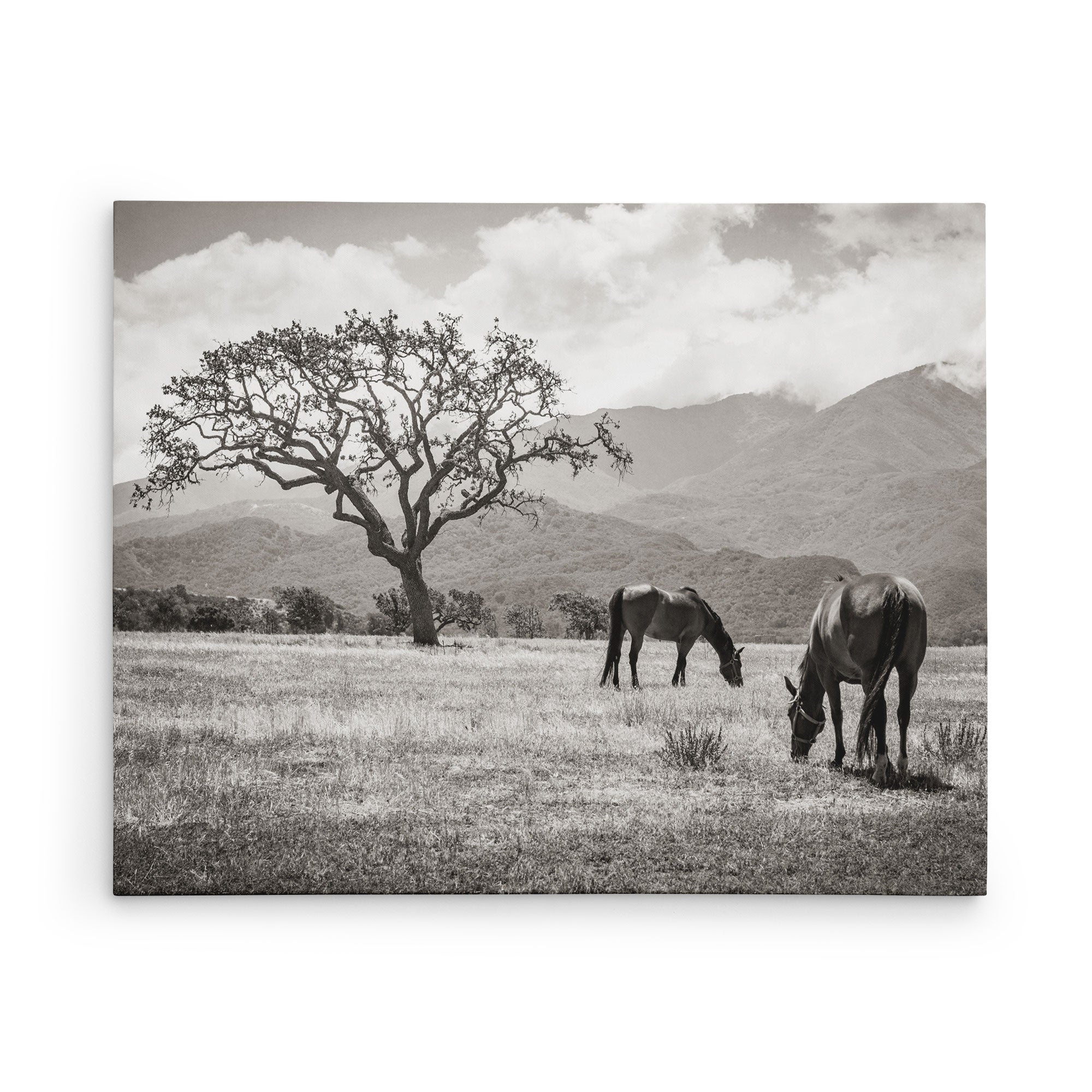 30x40 Rustic Canvas Print (Choose from 10+ Designs)