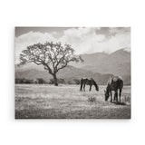 24x30 Rustic Canvas Print (Choose from 10+ Designs)