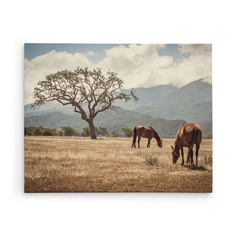 16x20 Rustic Canvas Print (Choose from 10+ Designs)