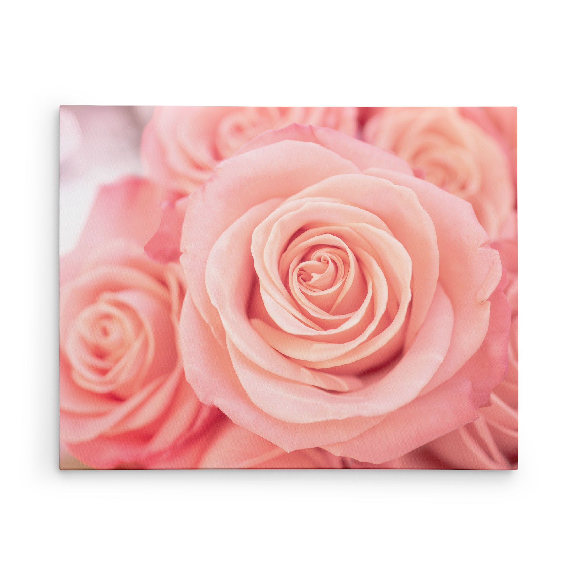 11x14 Botanical Canvas Print (Choose from 10+ Designs)