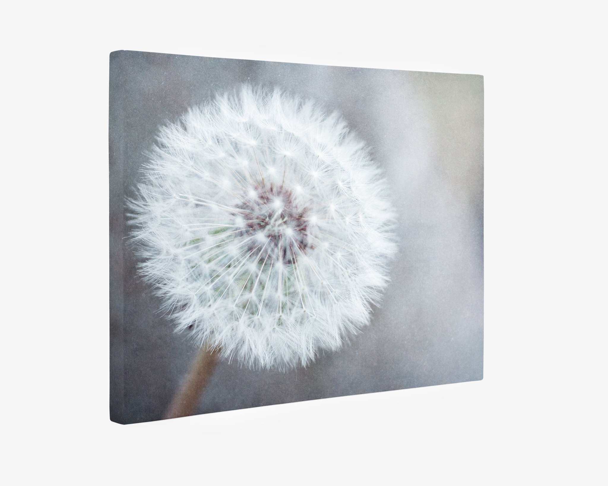 11x14 Botanical Canvas Print (Choose from 10+ Designs)