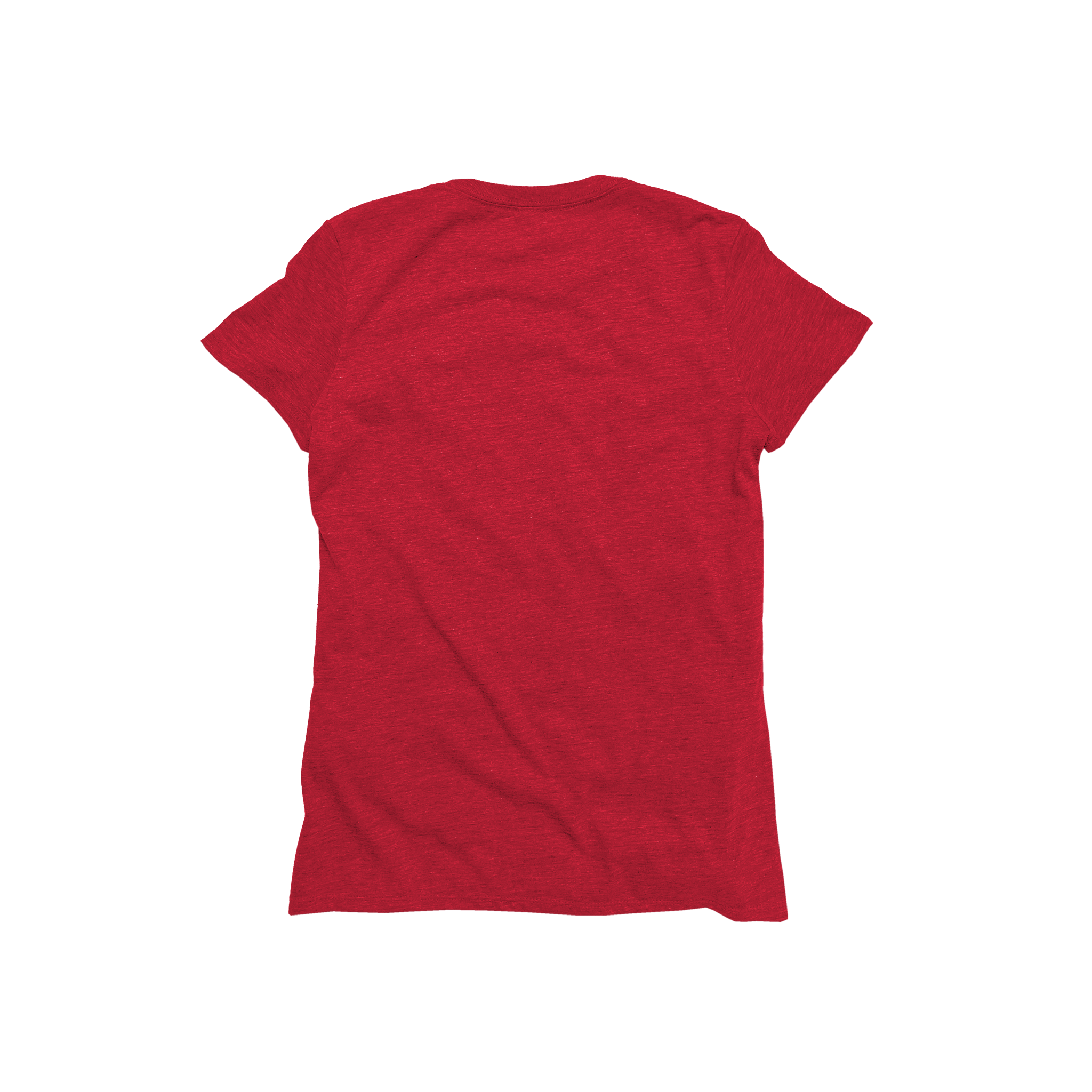 Ladies Triblend Short Sleeve Tee