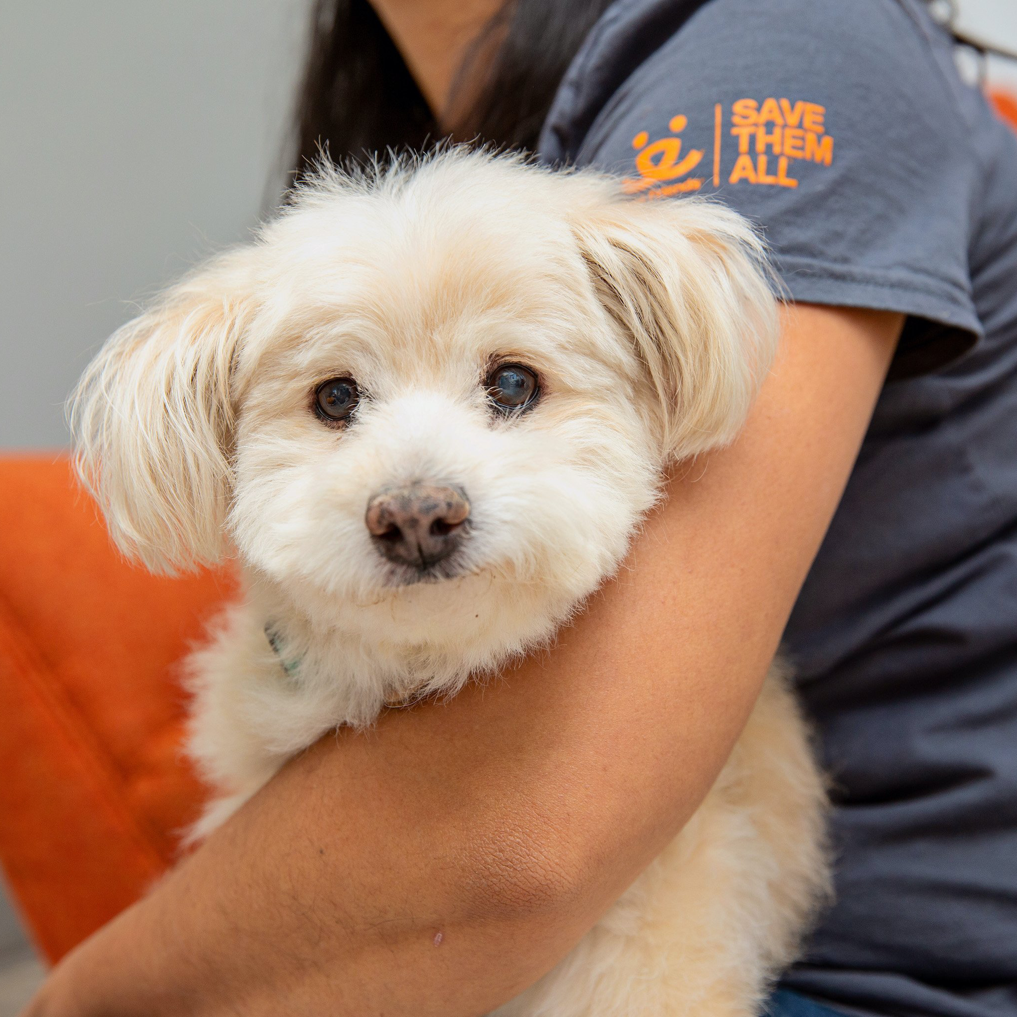 Redeem for Charity Impact: Give 1 Hour of Care to a Rescue Pet