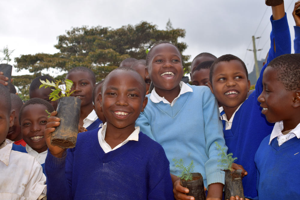 Happy Kwanzaa Tree, We Plant 10 More Trees