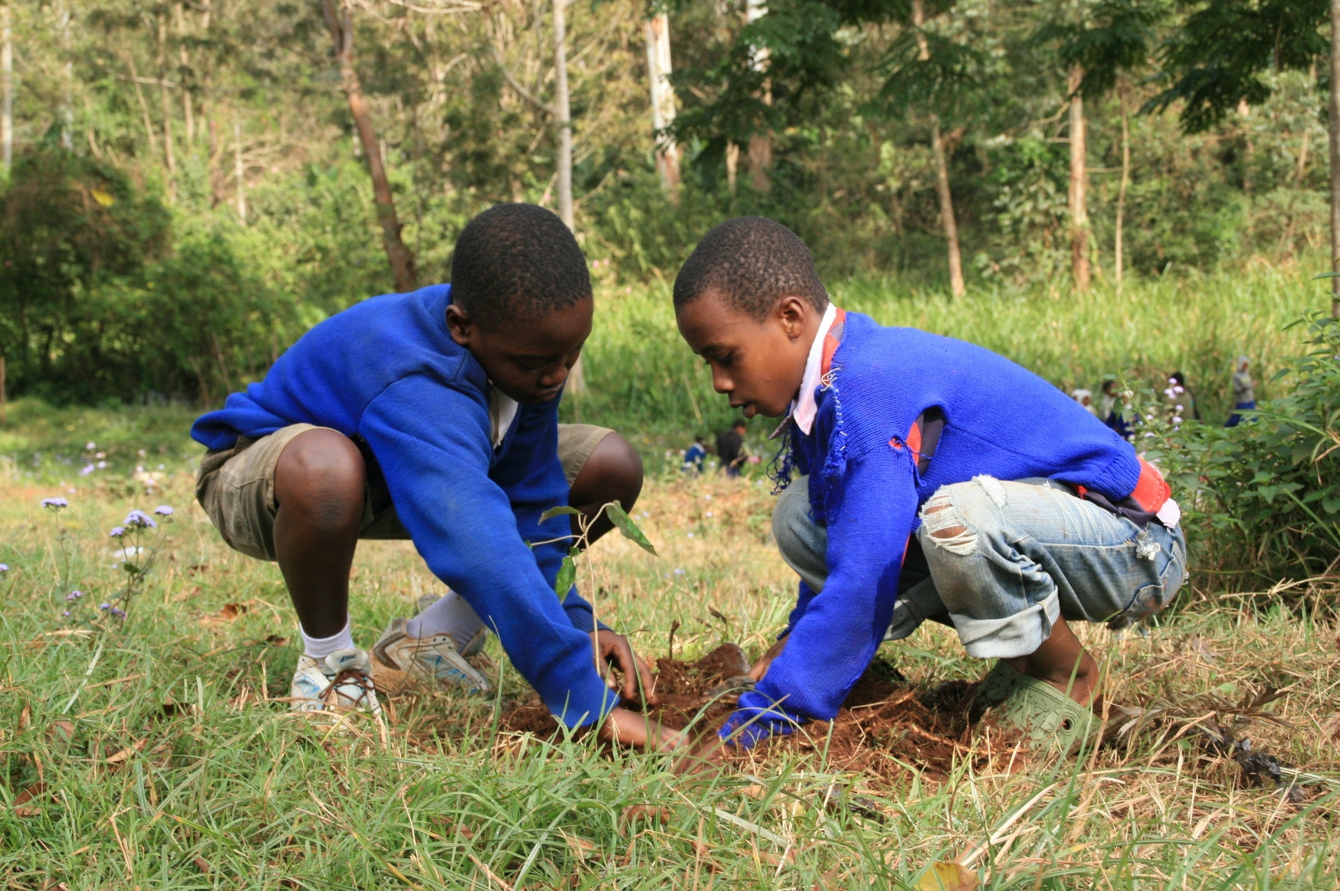 Happy New Year Tree, We Plant 10 More Trees