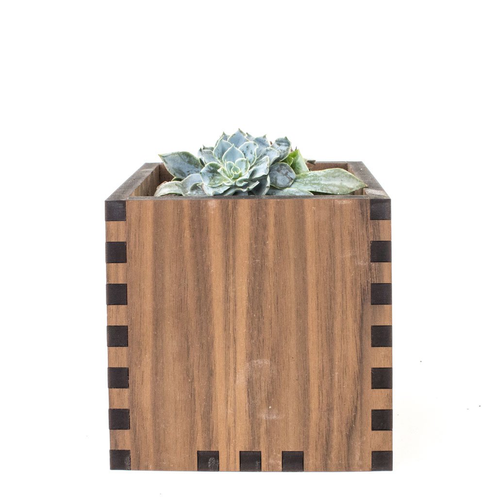 Square Desktop Planter