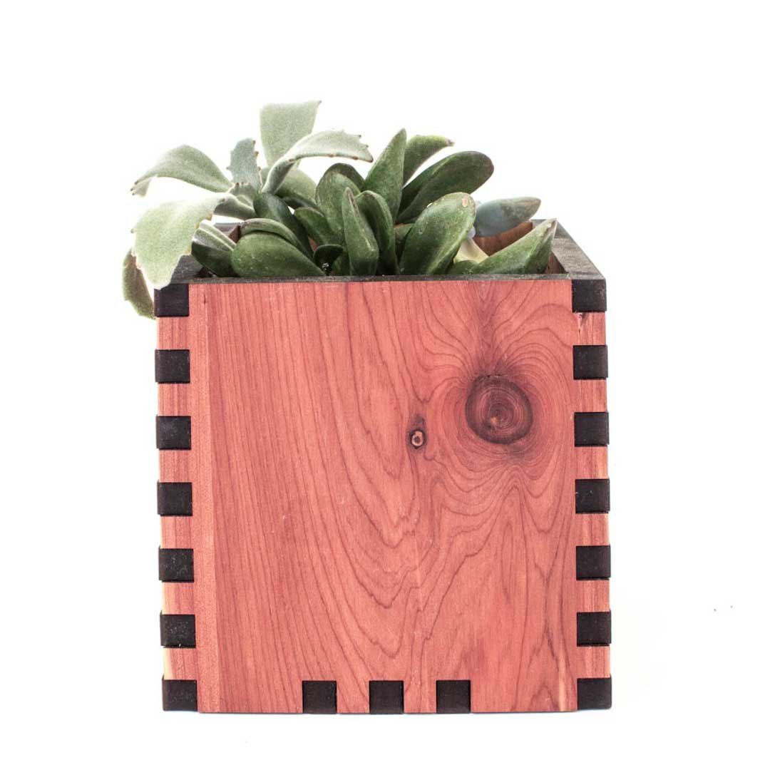 Square Desktop Planter