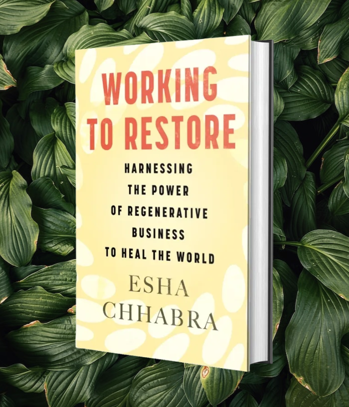 Working to Restore - Books for Healing the World