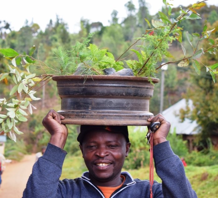 Earth with Heart Tree, We Plant 10 More Trees