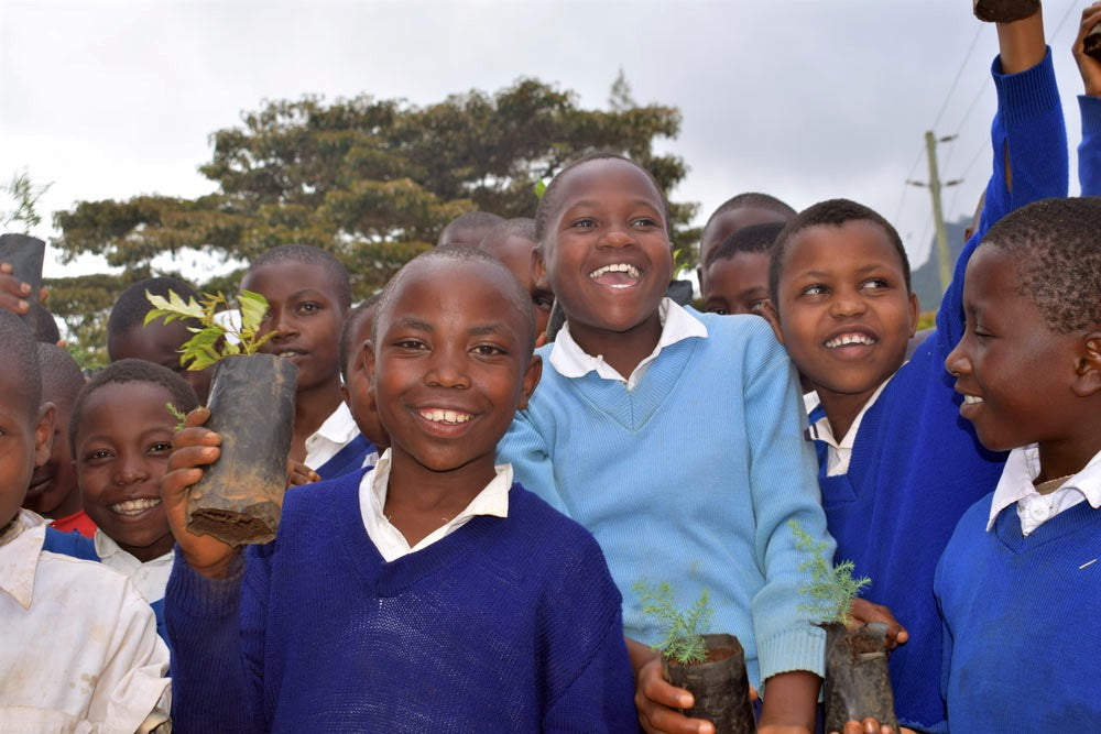 You Plant We Plant Tree Cup, We Plant 10 More Trees